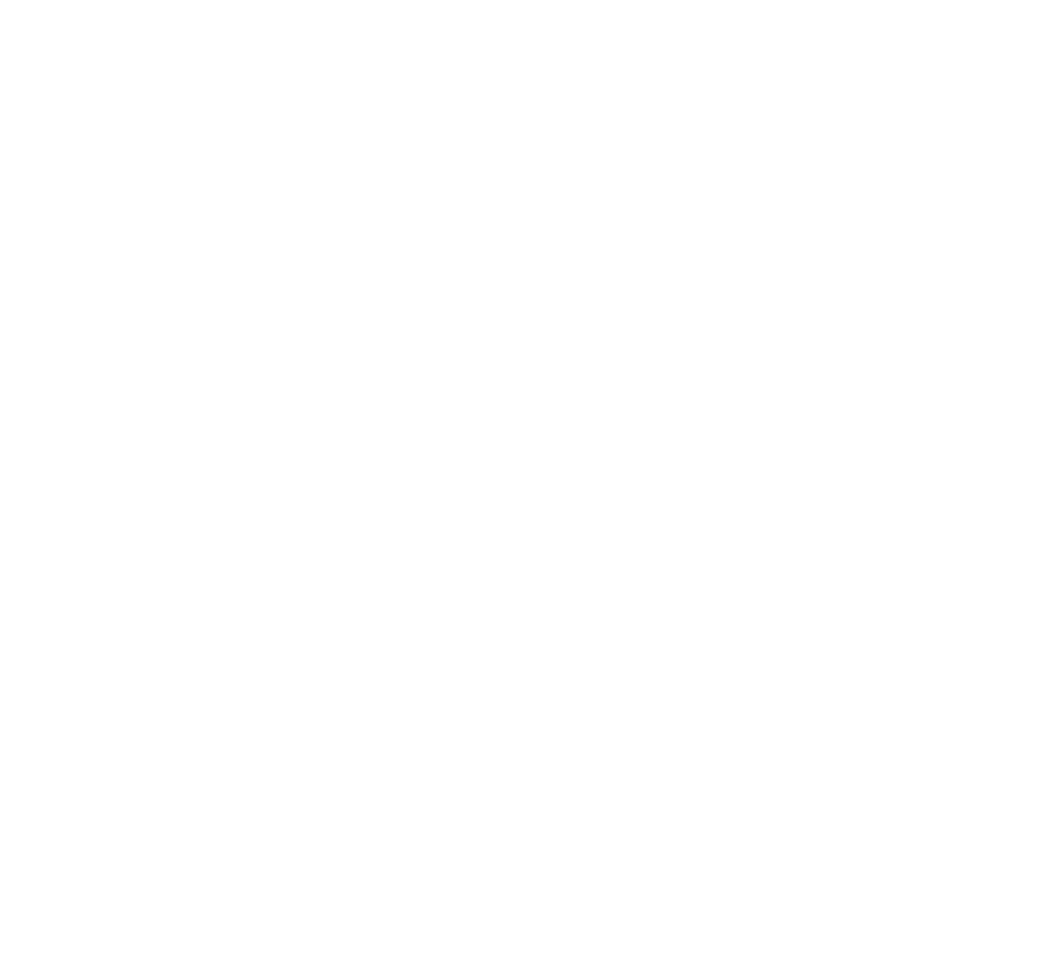 THE ZONE BIO