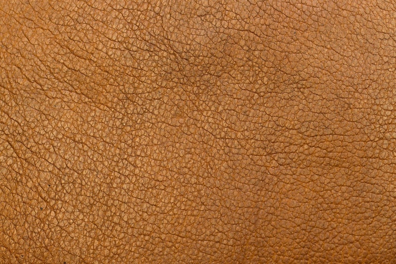 균사체 비건 레더